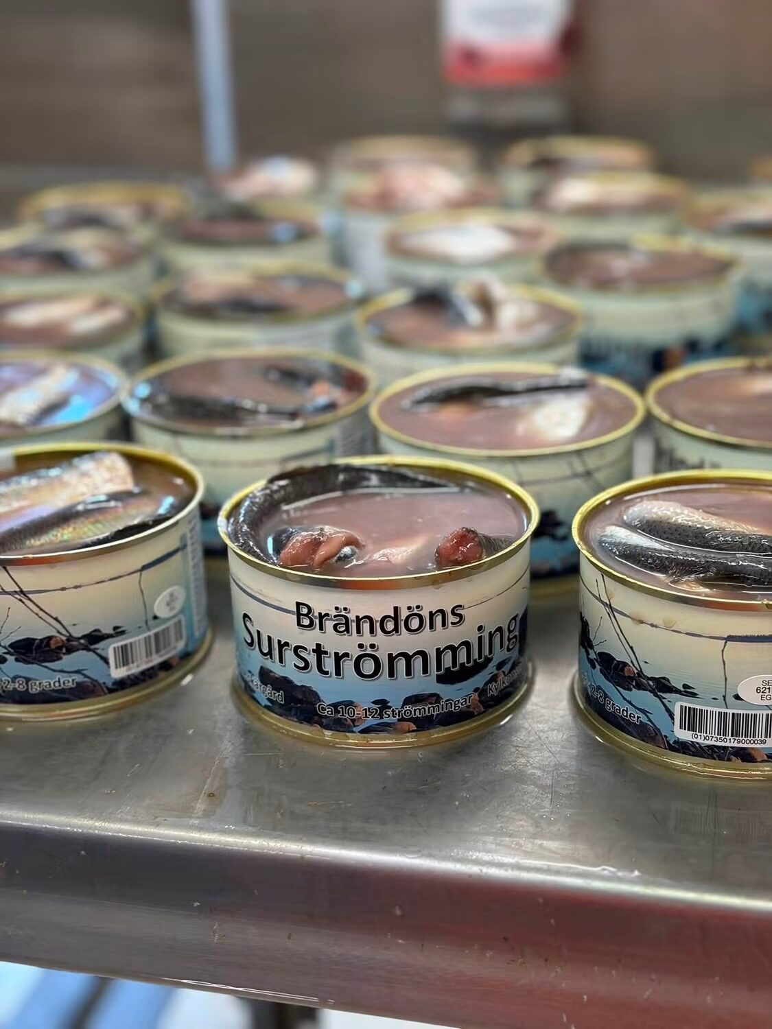 Färdiga burkar med Brändöns surströmming