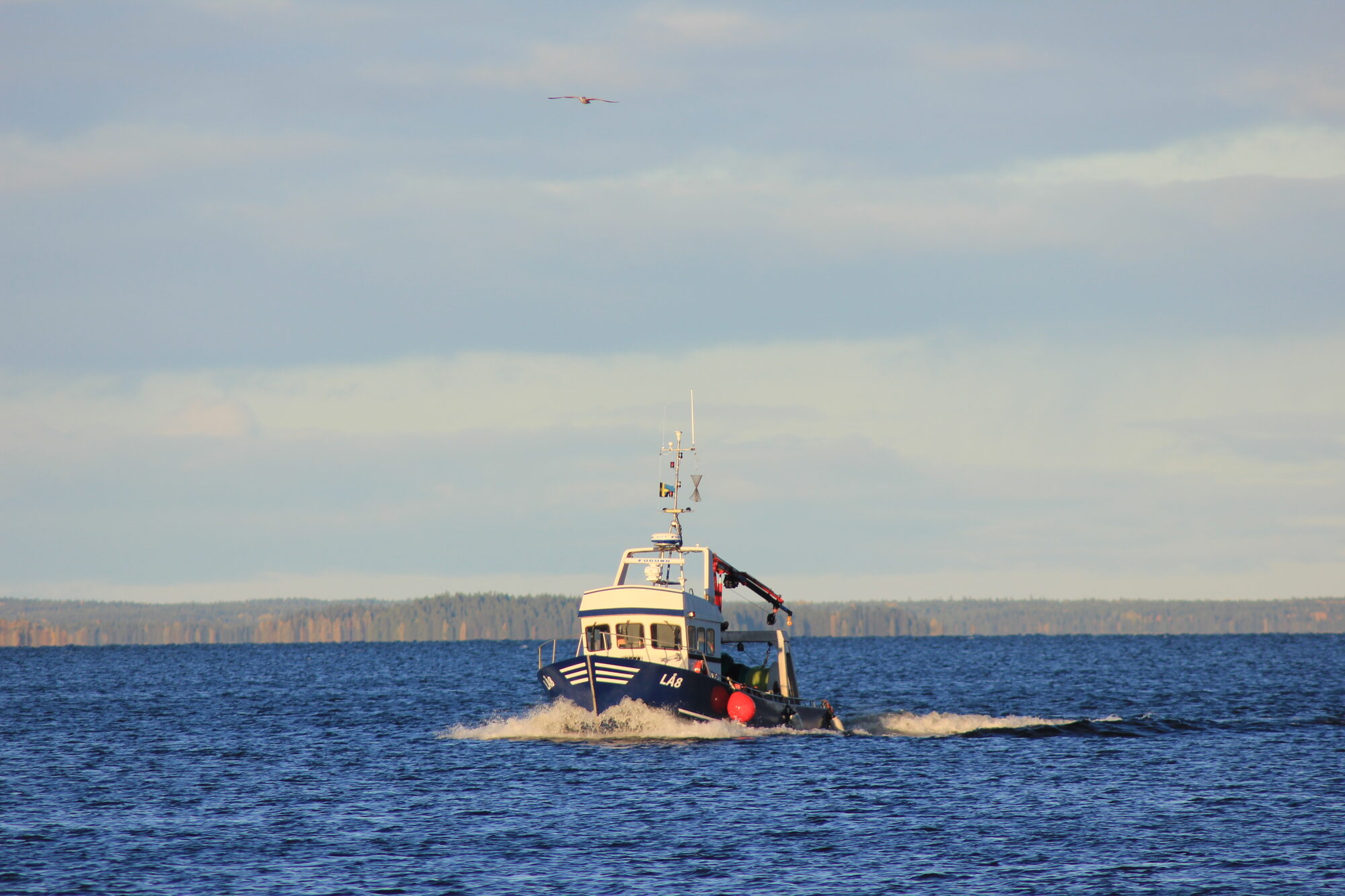 Fiskebåten ute på öppet hav
