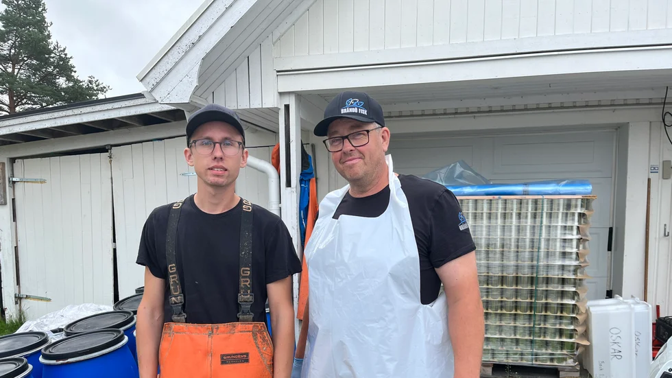 Fredrik Persson och Oskar Sundqvist i produktionslokalen för Brändöns Surströmming